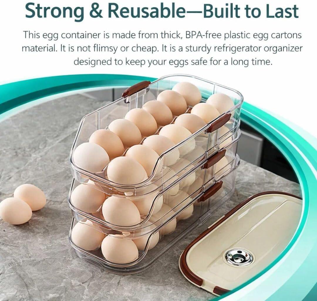 Egg Holder for Fridge with Lid and Handle