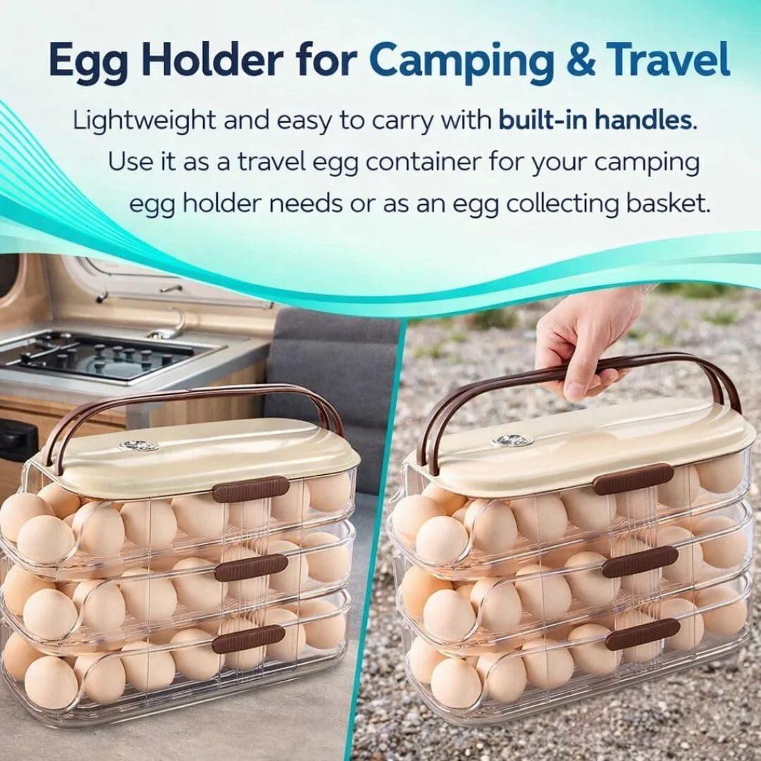 Egg Holder for Fridge with Lid and Handle