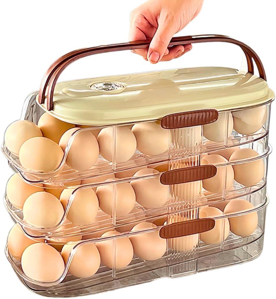 Egg Holder for Fridge with Lid and Handle